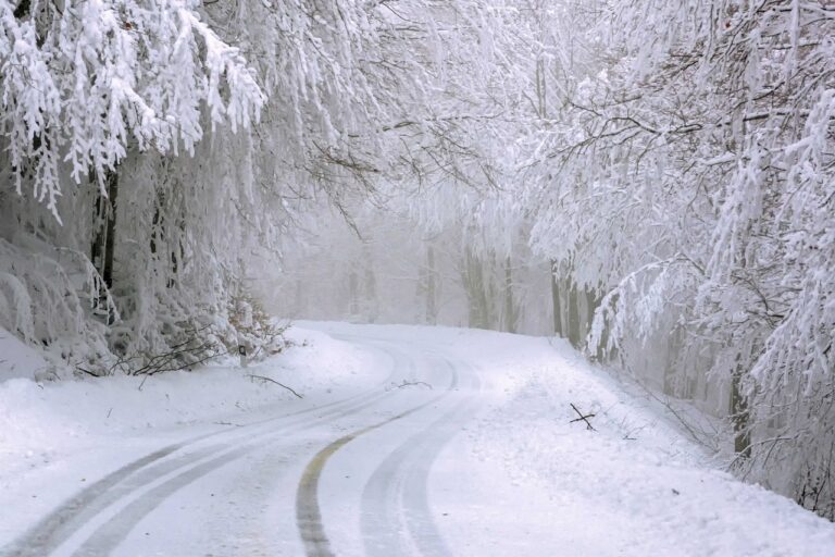 road-4730553_1280